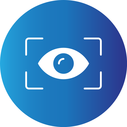 Vision Icon